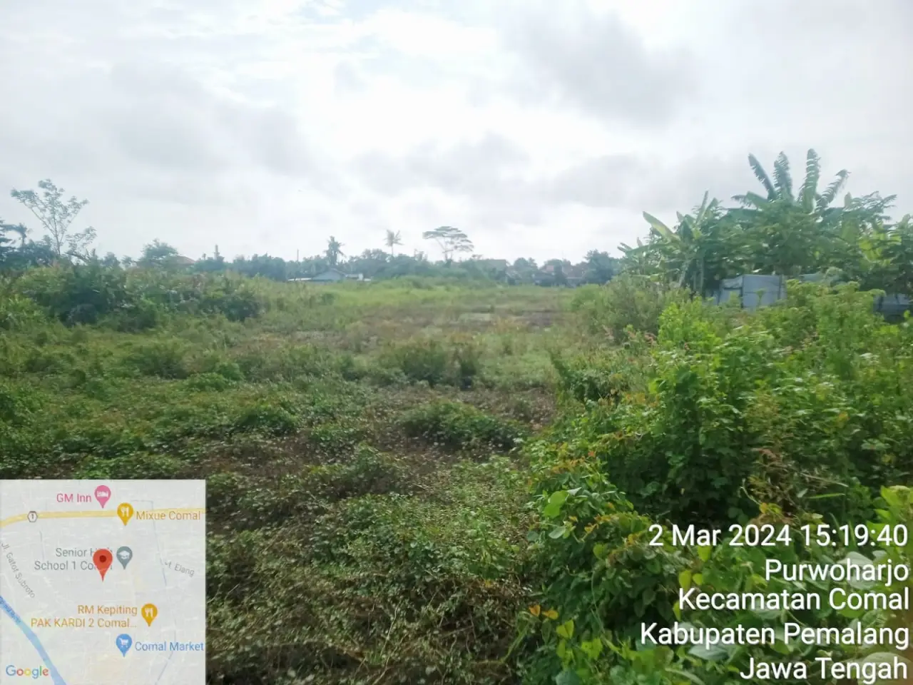 Dijual Tanah Luas ± 4.400 m² Di Comal Pemalang
