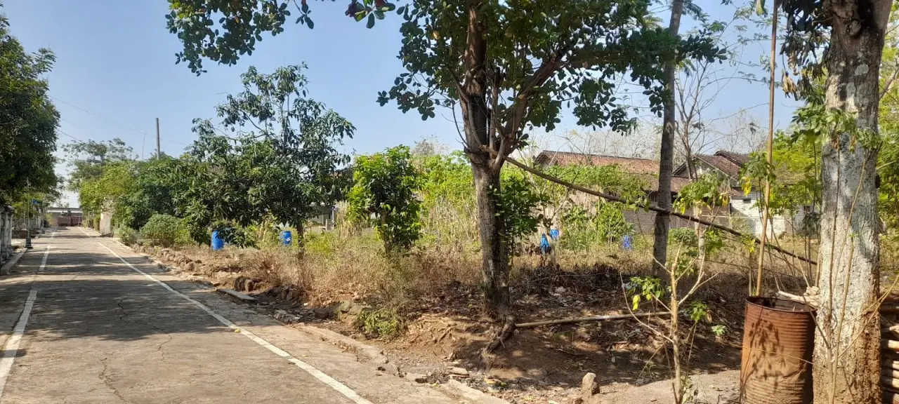 Jual Pekarangan Murah