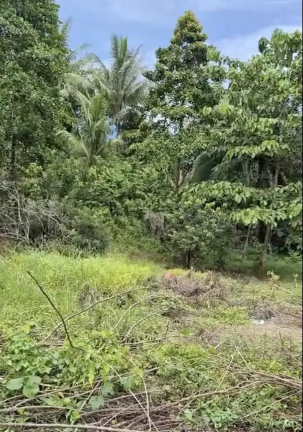 Tanah Idaman di Lokasi Favorit – Potensi Nilai Naik