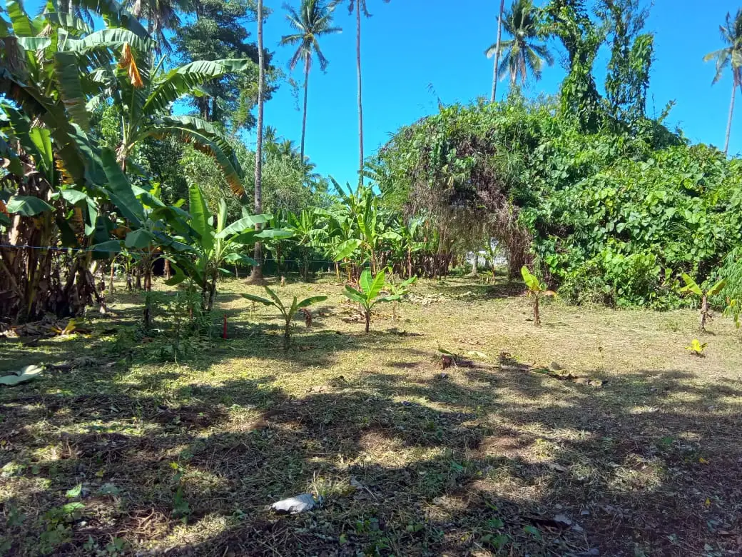Dijual Tanah Strategis Lorong Kampus, Jl. AA Maramis Paniki Bawah Manado