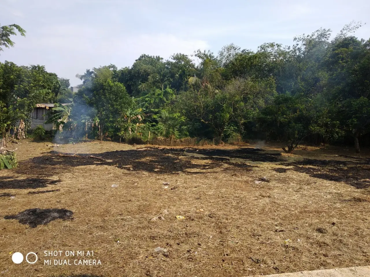Dijual Cepat Tanpa Perantara