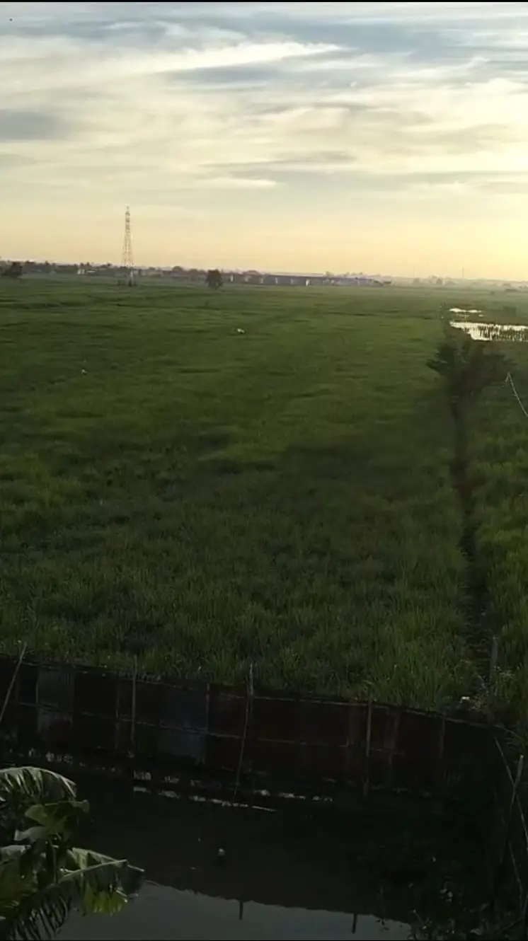 Tanah Luas SHM Hook/Pinggir Jalan A. Yani Km 12.9 - Lokasi Sangat Strategis